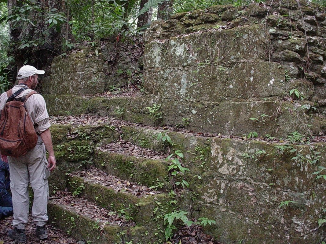 Ruin i Tikal.jpg